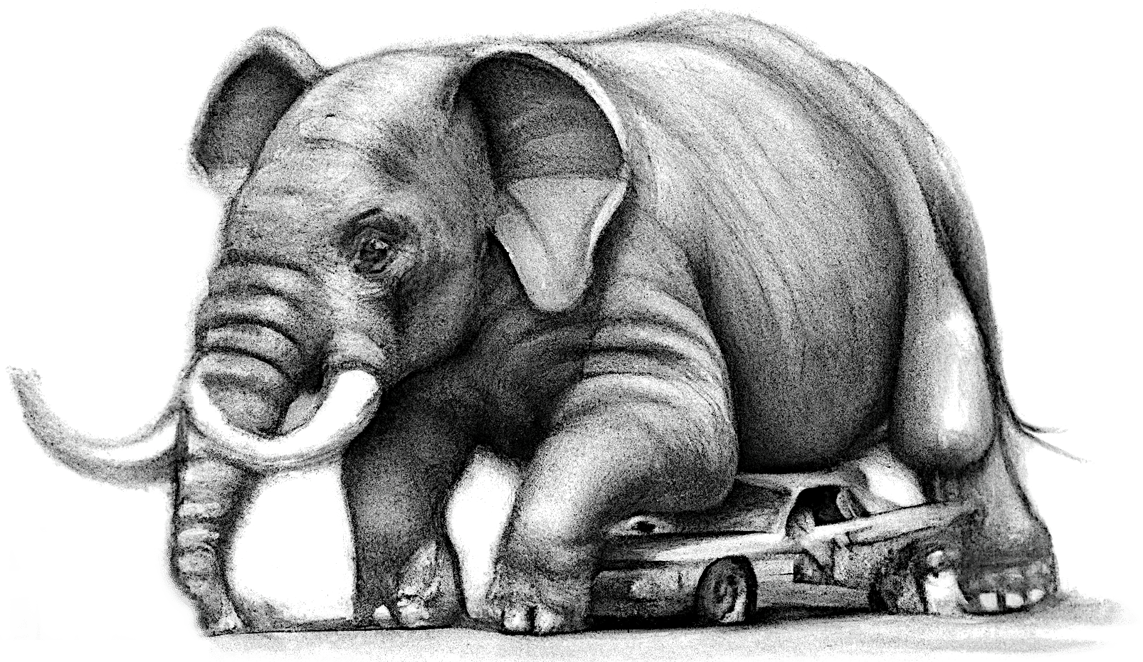 Black and white pencil drawing, an elephant is straddling a race car, its stomach resting on the roof. The race car is slightly crushed.